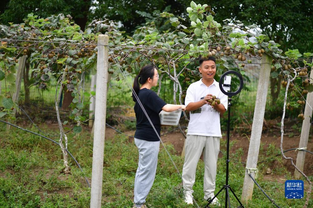 捕鱼大作战app下载